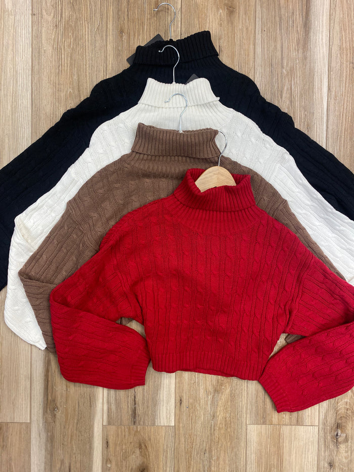 Turtleneck Cable Knit Sweater