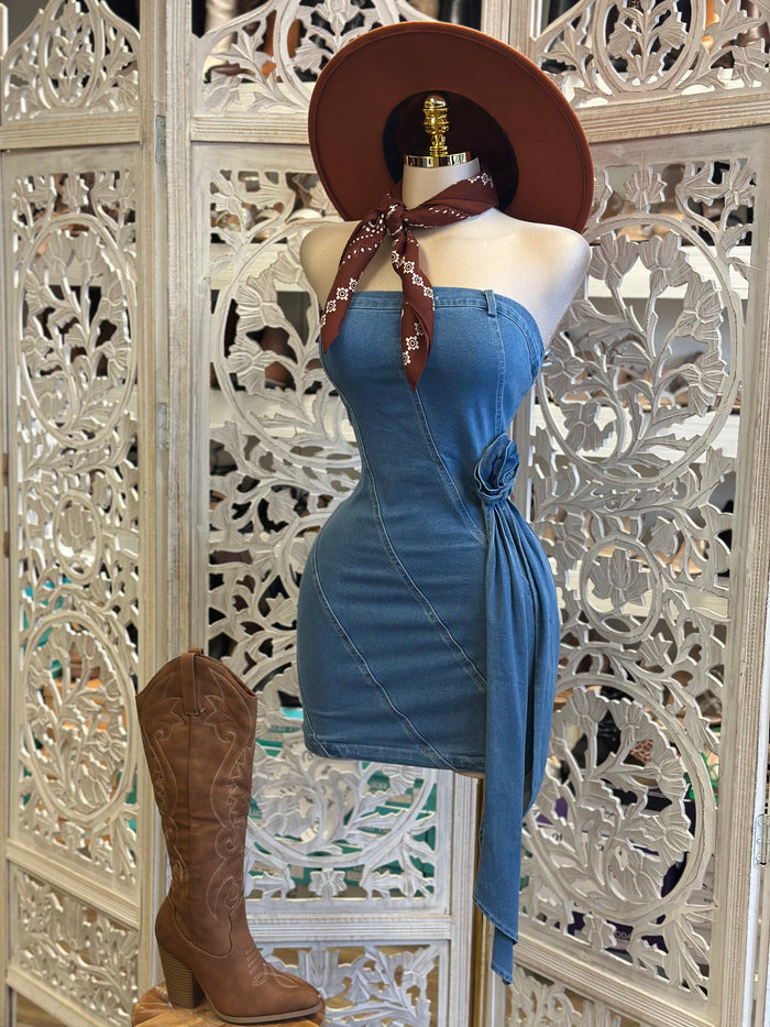 Denim Rose Tail Mini  Dress- Not Stretchy, No Estira