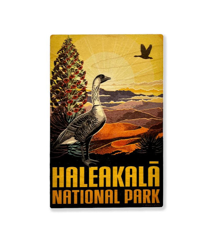 Haleakala National Park Wooden Postcard