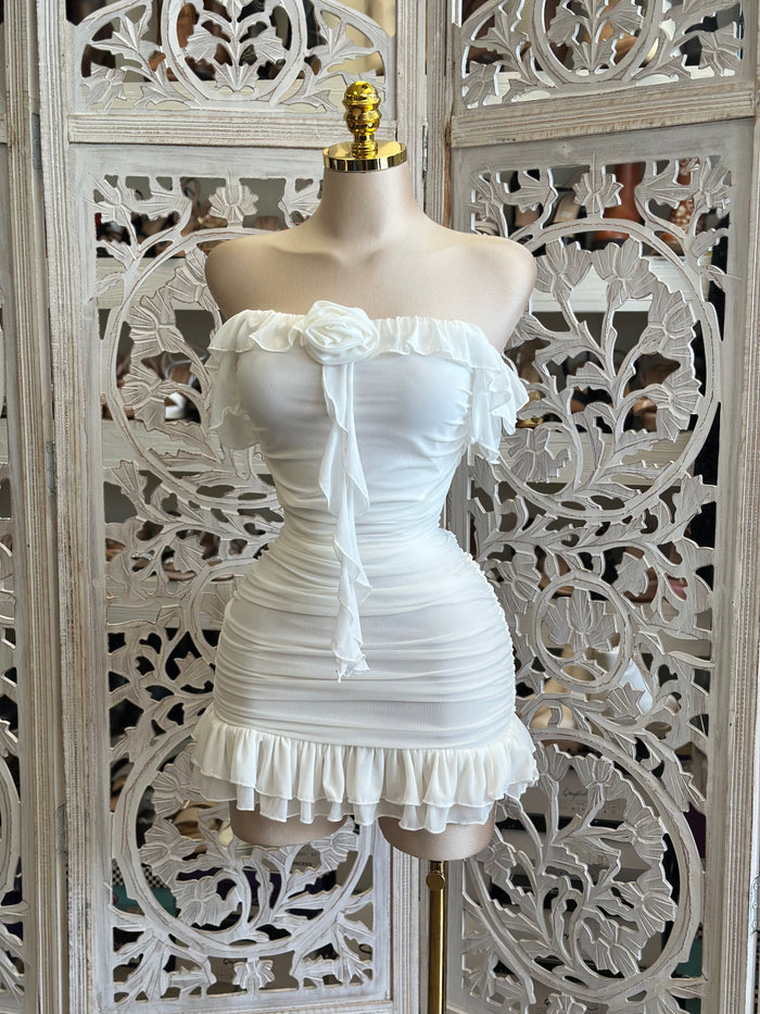Rose Ruffle Mini Dress - Estira, Stretchy