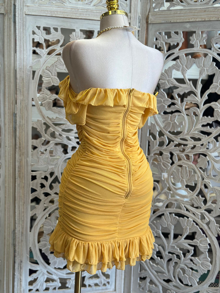Rose Ruffle Mini Dress - Estira, Stretchy