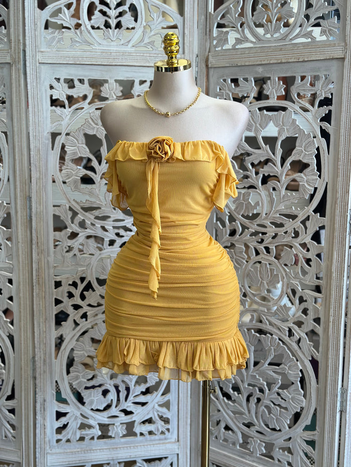 Rose Ruffle Mini Dress - Estira, Stretchy